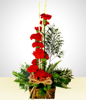Flores - Insaciable: 12 Claveles Rojos en Base Rústica