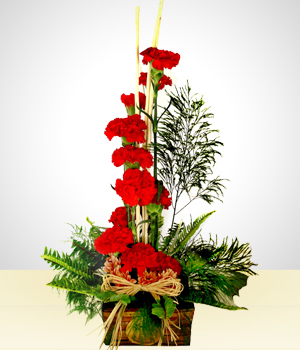 Flores a Mxico Insaciable: 12 Claveles Rojos en Base Rstica