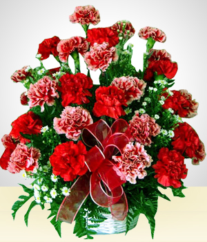Flores a Mxico Rojo Ilusin: Claveles Rojos y Rosados
