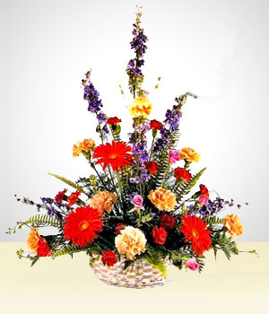 Flores a Mxico Celestial: Claveles Multicolores